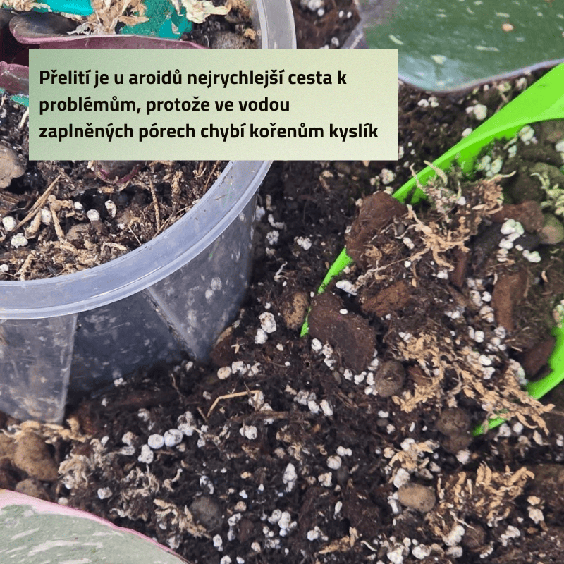 Mix č. 1 Pro pokojovky, které potřebují vzduch mezi kořeny